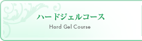 ハードジェルコース